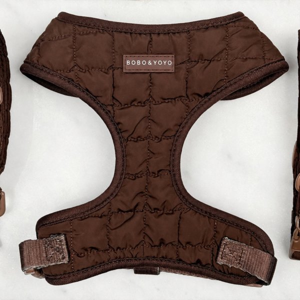 Pet harness collection Collar option